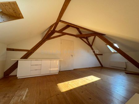 SPLENDIDE 3½ PIECES DUPLEX DANS ANNEXE D'UN CHÂTEAU BAROQUE - Foto 4