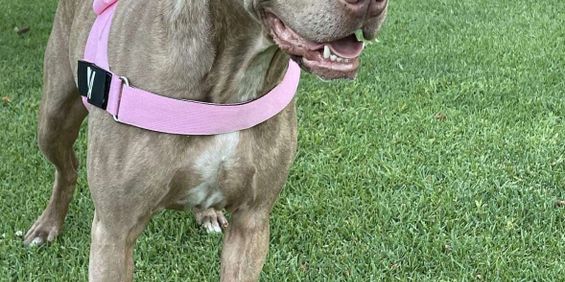 Applecross - Photo 3