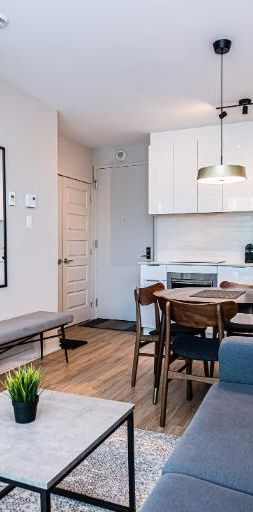 1 CH - 1 SDB - Montréal - $2,945 /mo - Photo 1