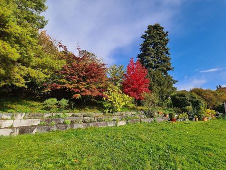 Au coeur du vignoble, charmant appartement de 5.5 pièces - Photo 5