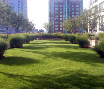 Downtown, Vancouver - Photo 6
