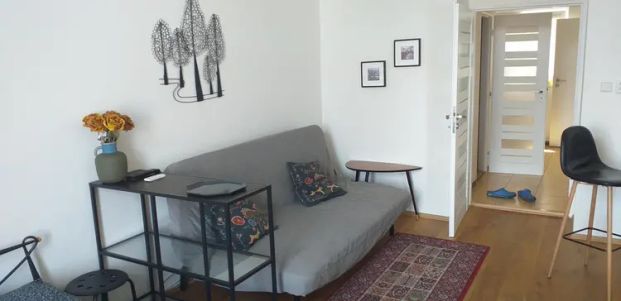 Pronájem bytu 1+1, 35 m - Fotografie 1