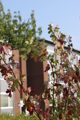 Amorvägen 9 A - Photo 1