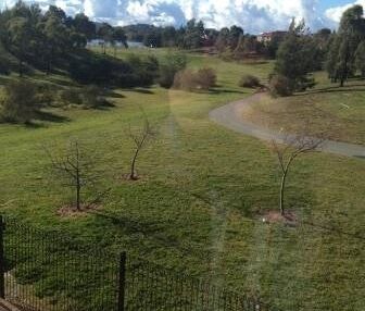 Nicholls - Photo 1