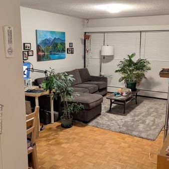 Kerrisdale 1 bedroom basement suite alternative - Photo 4