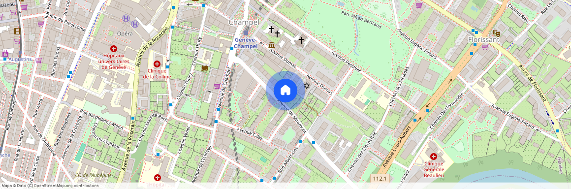 Avenue de Miremont 15, 1206, Genève