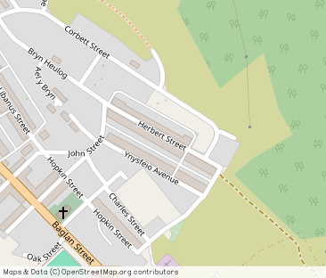 Herbert Steet, Treherbert, Rhondda Cynon Taff, CF42 5HA - Photo 1