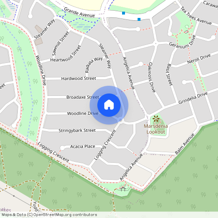 17 Woodline drive, Spring Mountain QLD 4300