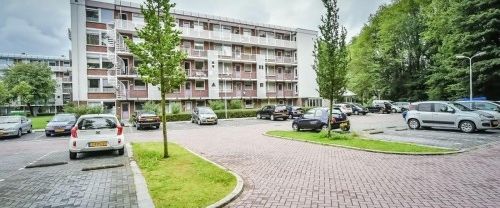 Apartment Zaandam - Leverkruidweg - Foto 1