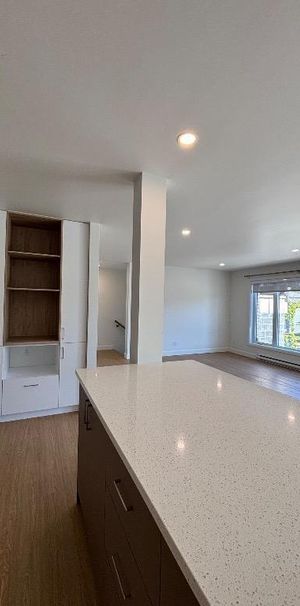 Appartement style Condo 4 1/2 PLUS OU 5 LUMINEUX - Photo 1