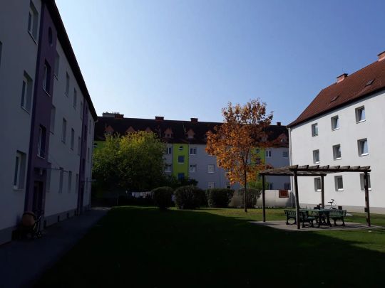 3-Zimmer-Wohnung, Top 178 - Photo 1