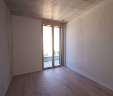 Moderne 2,5 Zimmerwohnung zu vermieten - Photo 2