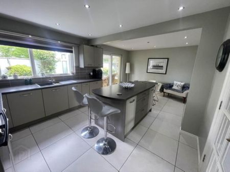 27 The Manor, Portadown, Craigavon, BT62 3QU - Photo 4