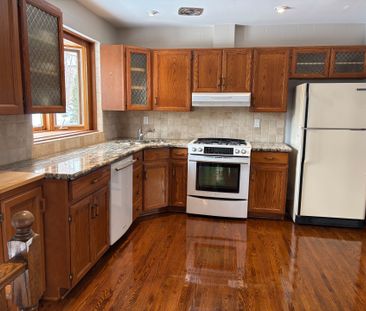 For Lease - 24 Lancer Drive, Vaughan, Ontario - Photo 5