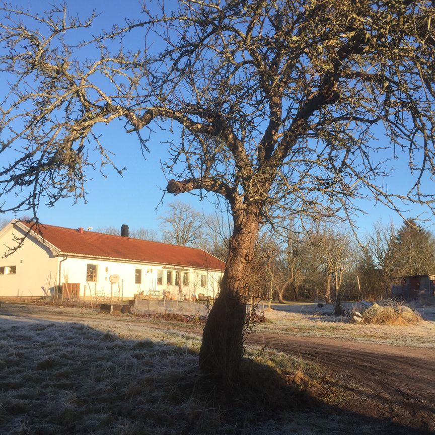 Lindholmens gård, Vallentuna - Foto 1