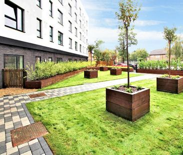 Studio to rent - Photo 5