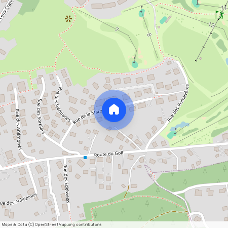 3963, Crans-Montana, Rue de la Marot, 16