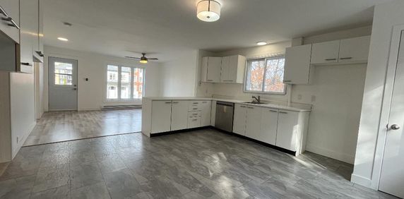 Beau grand 4 et demi lumineux et tranquille - Photo 2