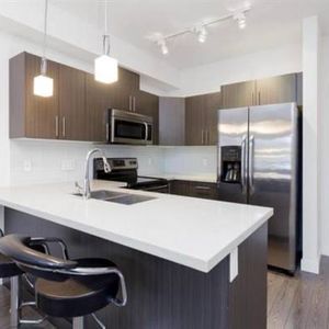 Spacious 1-Bedroom + Den Apartment in Downtown Maple Ridge (Pet Friendly) - Photo 2