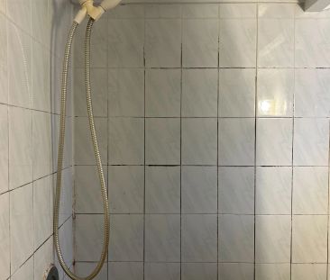 62 Newlands Ave Avenue #Basement - Photo 2