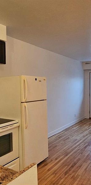 1 CH - 1 SDB - Montréal - $1,000 /mo - Photo 1