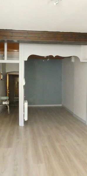 Location Appartement 1 pièce 36m² BELLEY 01300 - Photo 1