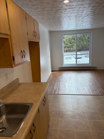 2080-204 rue Gauthier, Sherbrooke vacant - Photo 5