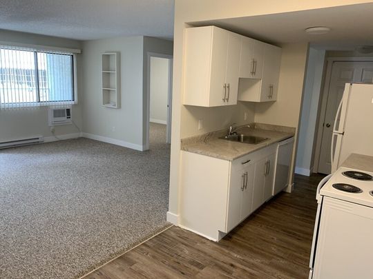 SQUIRE 1 BED 1 MONTH FREE - Photo 1