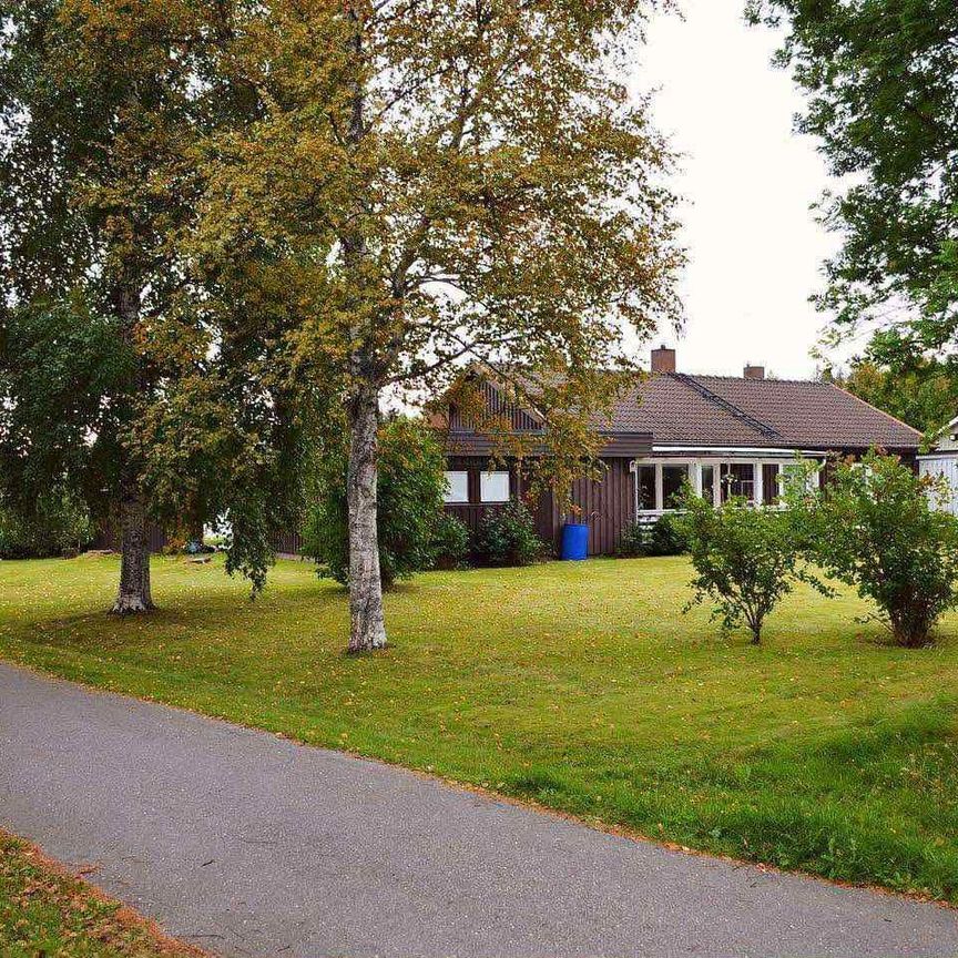 Videstigen, Skellefteå - Foto 1