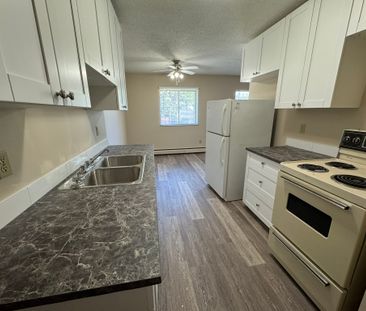 SPACIOUS 2 Bedroom APARTMENT!! GREAT LOCATION Downtown!!! - Photo 3
