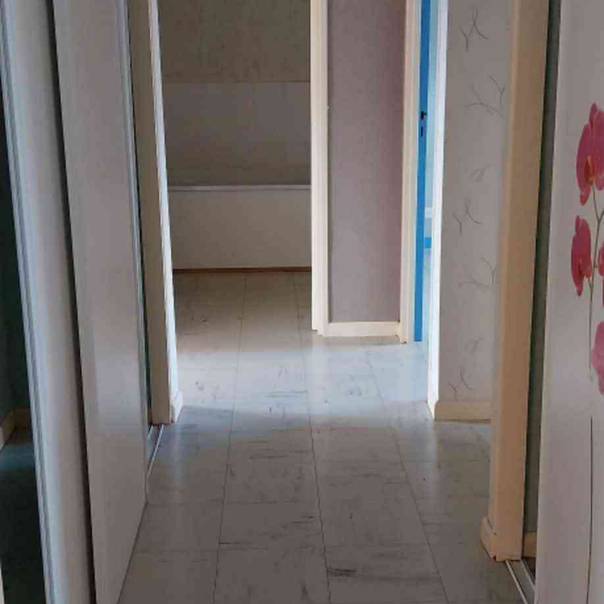 Location : Appartement 4 pièces 74 m2 – DELLE - Photo 1