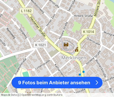 3 Zimmerwohnung mit EBK in weil der Stadt-Merklingen ideal für Klei... - Foto 1