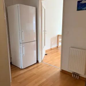 Helle Einzimmerwohnung im Grünen mit super Verkehrsanbindung - Photo 1