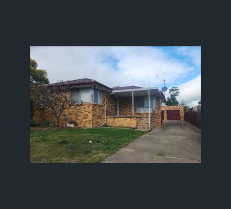 19 Hilda Ln, South Tamworth, NSW 2340 - Photo 4