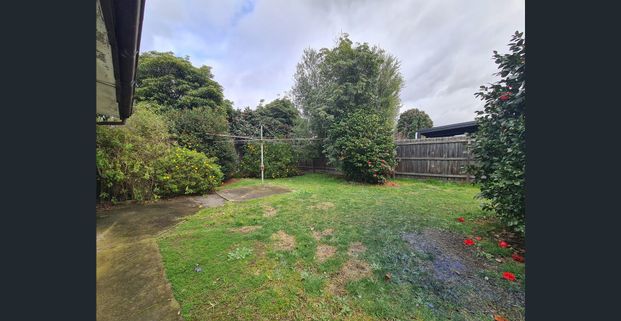 12 Lee Avenue, Springvale, Vic 3171 - Photo 1