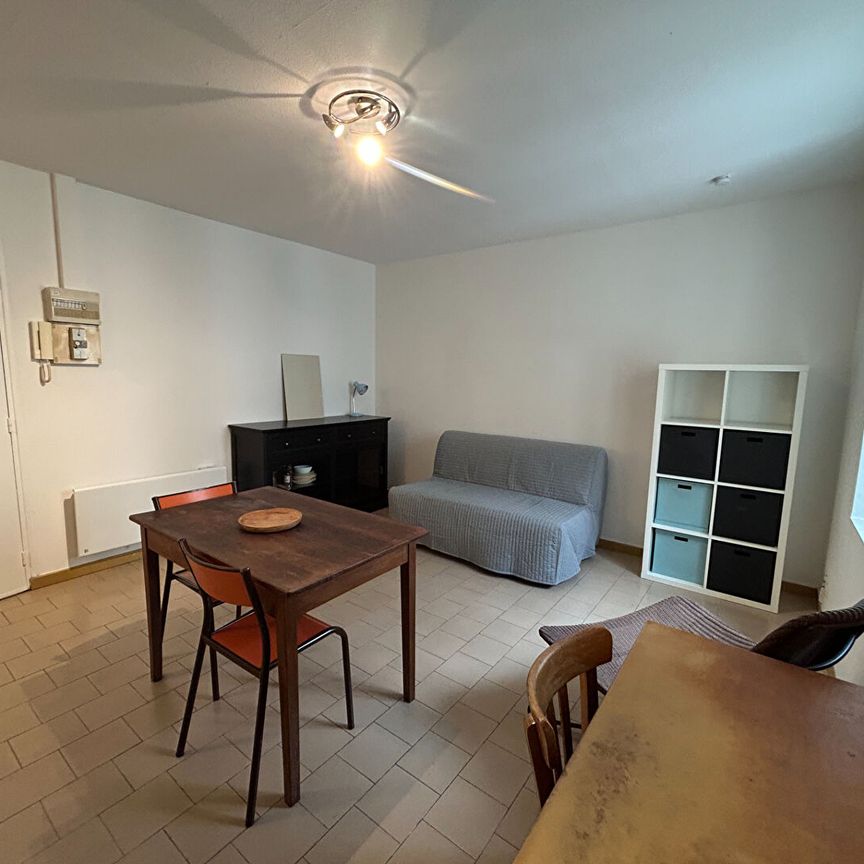 Location Appartement 1 pièce 20m² - Photo 1