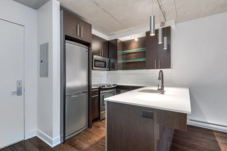 Condo for rent, Montréal (Le Sud-Ouest) - Photo 4