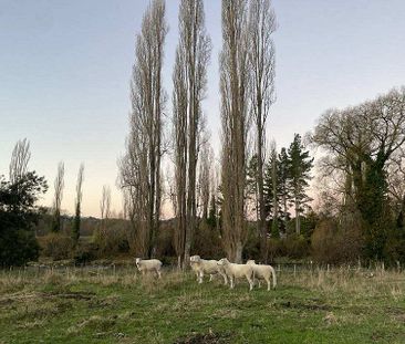 Light, Bright, and Ready for You in Taumarunui - Photo 4