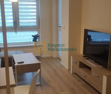 Mieszkanie 40m2 na wynajem, garaż, komórka,ogródek - Photo 2