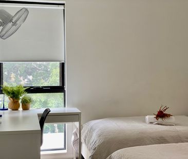 303/92 Cope Street, Waterloo NSW 2017 - Apartment For Rent | Domain - Photo 4