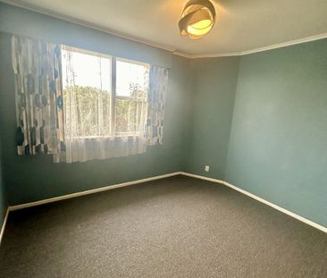 4 bedroom, 1 bathroom home on an a corner site in Te Aroha opposite... - Photo 1