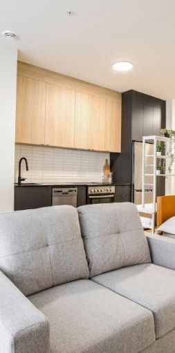 2 1/2 - Montréal (La Petite-Patrie) - 1 575 $/mois - Photo 1