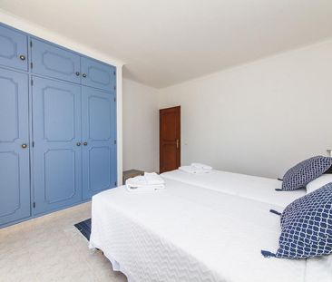 Rua dos Taxistas - Photo 6