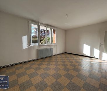 Location Appartement 2 pièces 50m² GRENOBLE 38100 - Photo 1