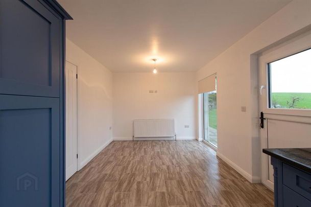 21 Scaddy Road, Downpatrick, BT30 9BW - Photo 1