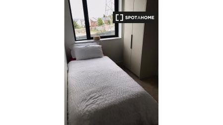 Room in a shared flat for rent in Dublin - Photo 2
