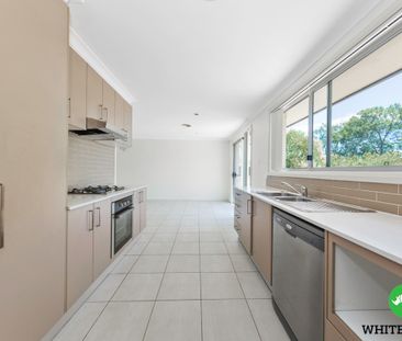 45A Lambrigg Street, Farrer ACT 2607 - House For Rent | Domain - Photo 6
