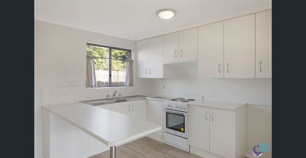 NEW RENTAL - Bright, Light & Convenient - Photo 1