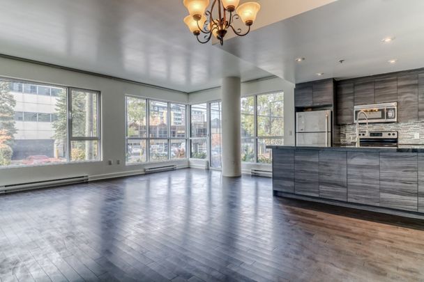 Appartement à louer - Montréal (Côte-des-Neiges/Notre-Dame-de-Grâce) (Côte-des-Neiges) Appartement à louer - Montréal (Côte-des-Neiges/Notre-Dame-de-Grâce) (Côte-des-Neiges) - Photo 1