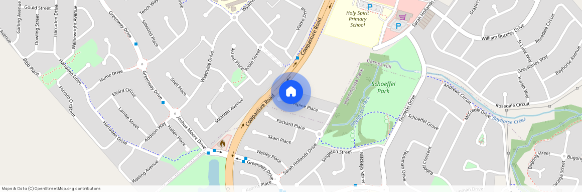 25 Alpine Place, NSW 2171, Carnes Hill